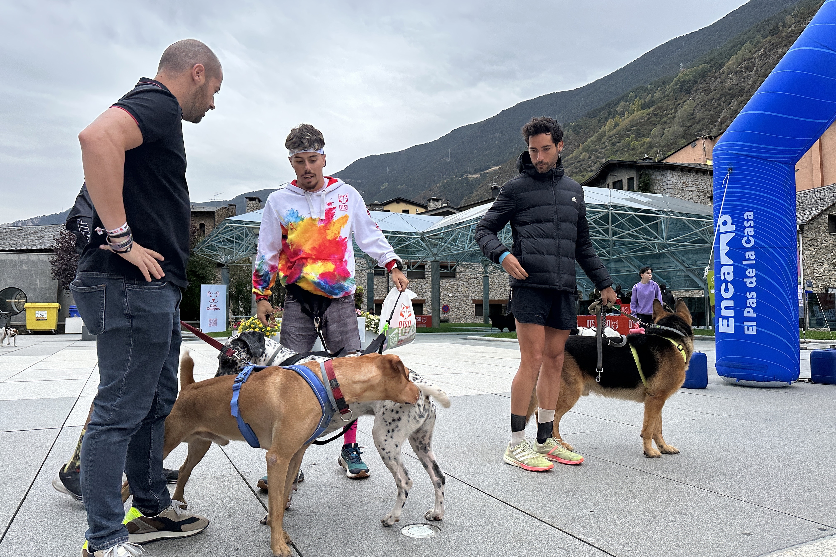 /tmp/166008_20231014 OTSO Trail Dog encamp-4.jpg